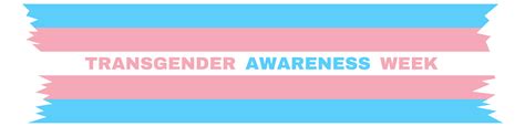 Celebrate Transgender Awareness Week Parkland Library