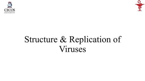 Virus Structure.pptx