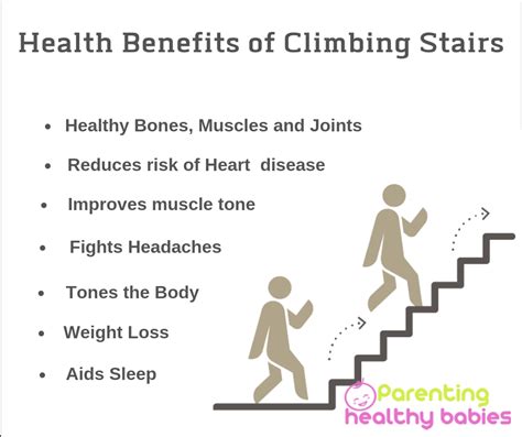 benefits of climbing stairs