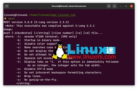 Linux 中使用 Less，more 和 Most 命令来读取文本文件 Linux迷