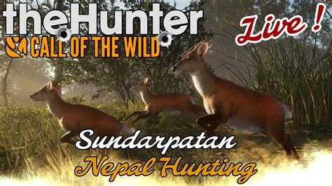 Thehunter Call Of The Wild Jagen Im Sundarpatan Nepal Hunting