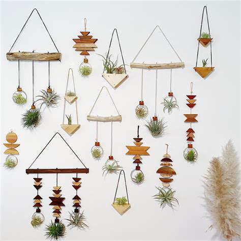 Wildly Air Plant Wall | Hanging plant wall, Airplant wall, Plant wall