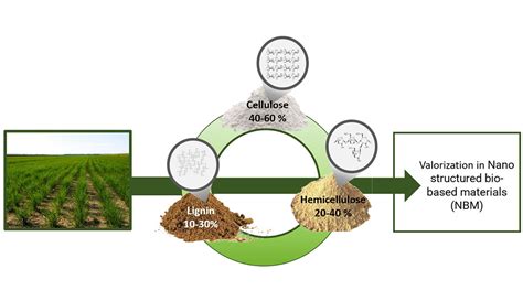 Valorization Of Lignin In Polymer Composites