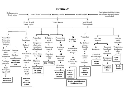 Pathway Cedera Kepala Pdf