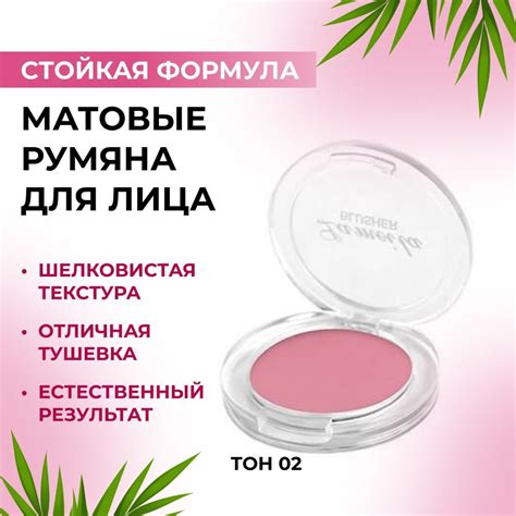 Румяна для лица матовые с кисточкой купить на OZON по низкой цене ...