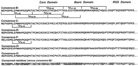 Amino Acid Sequence Of Hiv Tat Protein From Various Subtypes