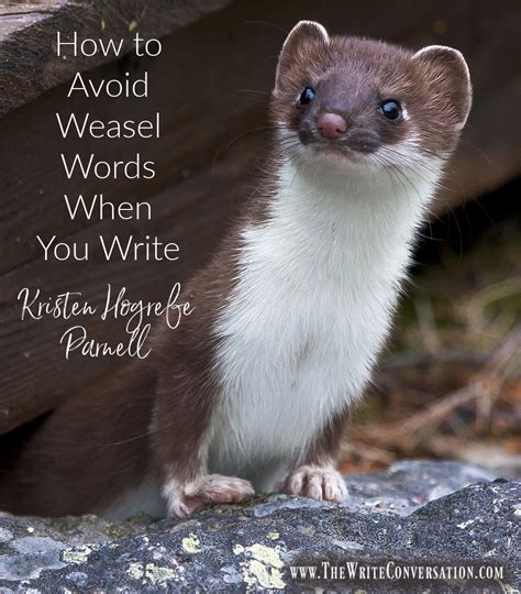 The Write Conversation How To Avoid Weasel Words When You Write