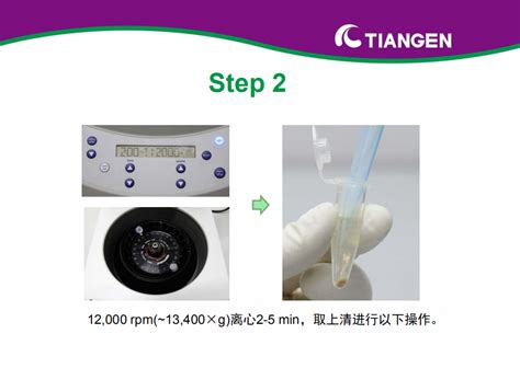 动物组织总 RNA 提取试剂盒操作指南DP431 动物组织 丁香实验