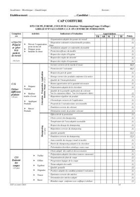 Grille Evaluation Vente Bp Coiffure Pdf Notice Manuel D Utilisation