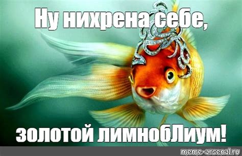 Создать мем "поймай удачу за хвост, желание, поймать золотую рыбку ...