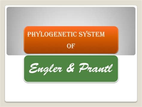 Engler And Prantl S System Of Plant Classification