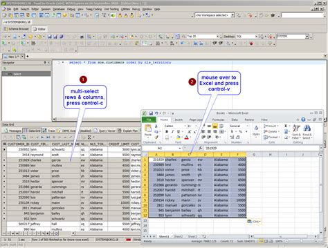 Copying Database Data To Microsoft Excel Via Toad For Oracle