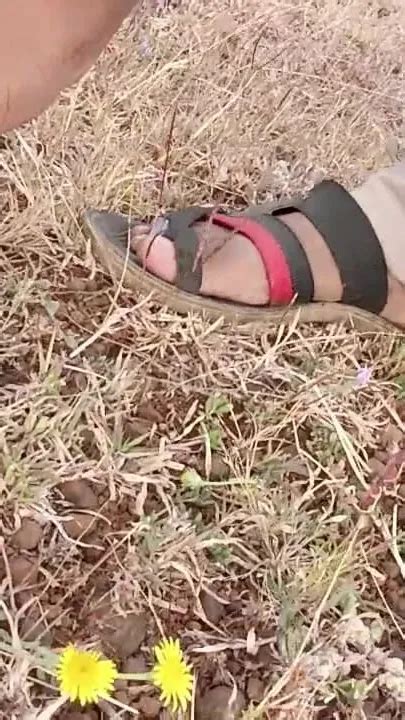 Pooja Raniji Gay Porn Videos Sex Model Nudes XHamster