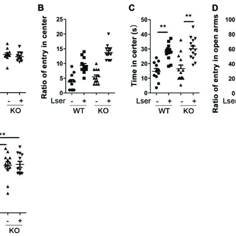 Oral Administration Of L Serine Reduced Anxiety Related Behavior In