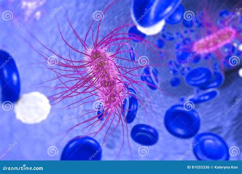 大肠埃希氏菌细菌 库存例证 插画 包括有 腹泻 鞭毛 掘泥机 宏指令 蓝色 胃肠炎 生活 微生物 81033336