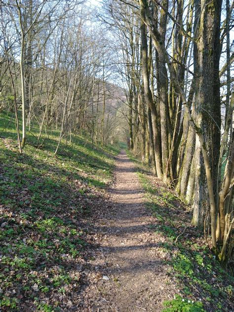 schönsten Klettersteige im Nürnberger Land Outdooractive