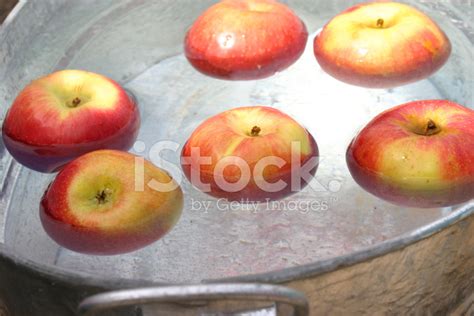 Apple Bobbing Stock Photo | Royalty-Free | FreeImages