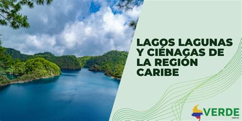 Diferencias entre lagos y ciénagas Colombia Verde