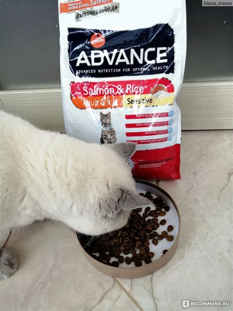Advance Sensitive - Эдванс корм кошек с чувствительным пищеварением ...