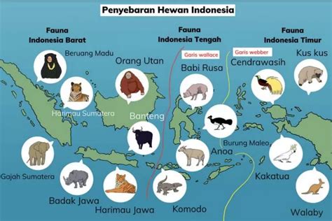 Mengenal Macam Macam Keanekaragaman Flora Dan Fauna Di Indonesia Apa