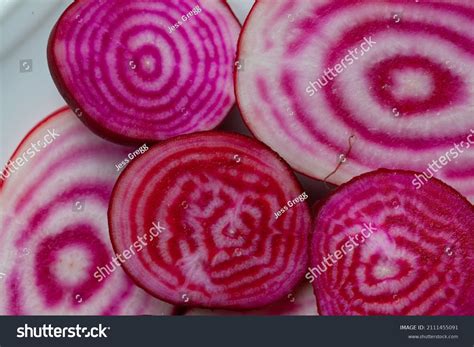 Beetroot Chioggia Över 396 Royaltyfria Licensierbara Stockfoton