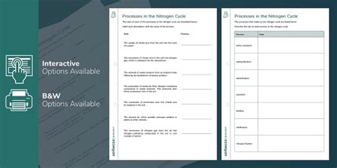 Nitrogen Cycle A Level Worksheet Biology Beyond Twinkl