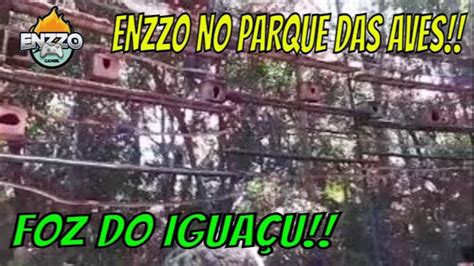 Enzzo no PARQUE DAS AVES em Foz do Iguaçu COS TV