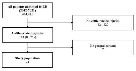 Patient Flowchart Ed Emergency Department Download Scientific Diagram