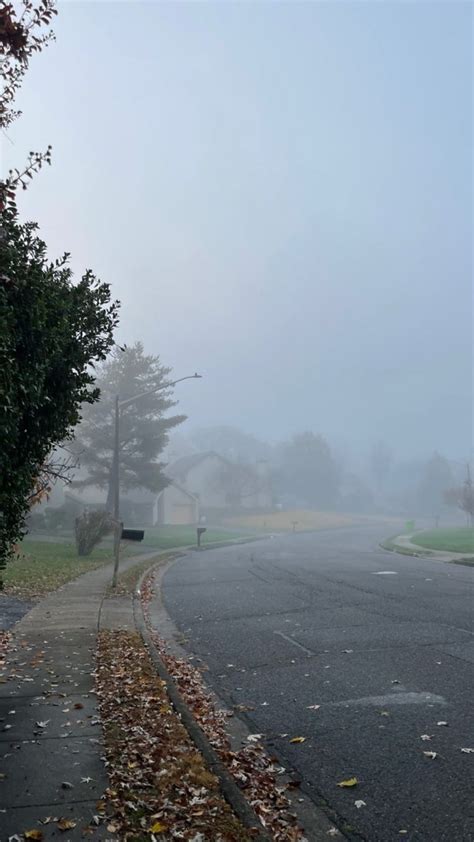 foggy morning | Autumn landscape, Foggy morning, Beautiful nature scenes