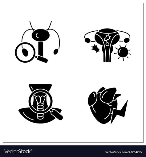 Human Internal Organs Glyph Icons Set Royalty Free Vector