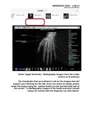 Medradsc D Lab Docx Medradsc D Lab Hand And