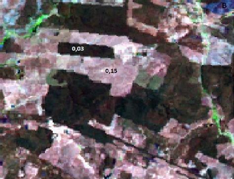 Composição Rgb 543 De Imagens Landsat Tm 5 Com Sobreposição Da Grade Da