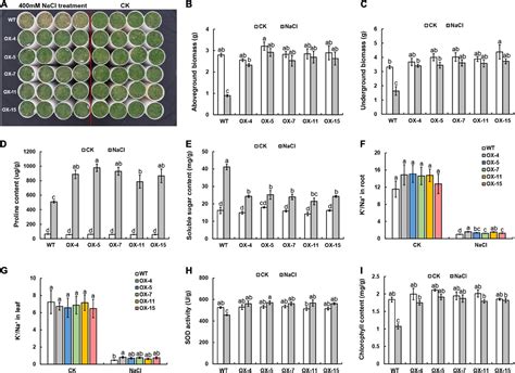 Frontiers The Combination Of Rna Seq Transcriptomics And Data