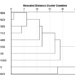 Dendrogram Of Genetic Relationships Among Ten Pea Cultivars Based On