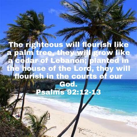 Psalms The Righteous Will Flourish Like A Palm Tree They Will