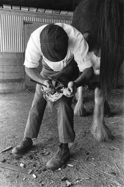 Take a look at the history of Grant's Farm | Entertainment | stltoday.com