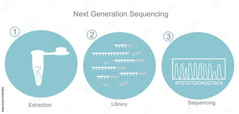 Vecteur Stock The Detection Icon Of Next Generation Sequencing That