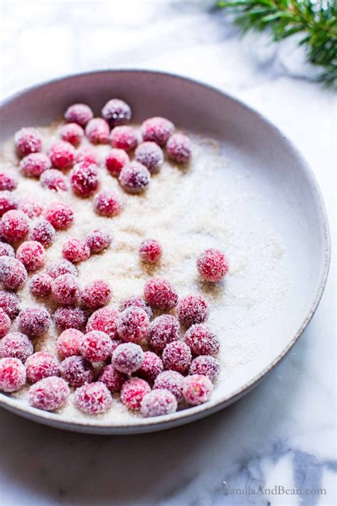 Sugared Cranberries Easy W Video Vanilla And Bean