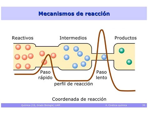 Tipos De Reacciones Químicas Por La Velocidad De Generación