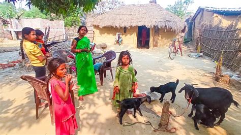 Rural Life India Village Life Up India Uttar Pradesh Life Style Real Life India Youtube