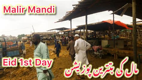 Eid Day Malir Mandi Update Eid Ul Adha Mubarak Cow