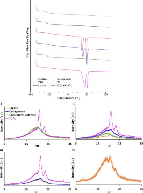 A Representative Differential Scanning Calorimetry Graph Of The