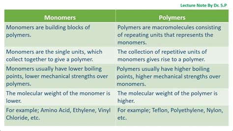 Difference Between Monomers And Polymers Youtube