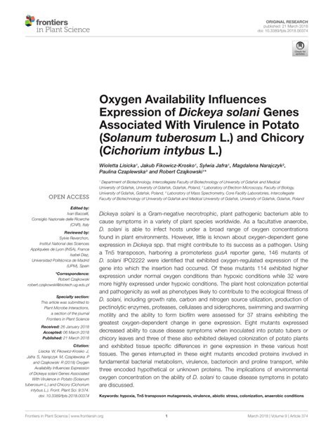 Pdf Oxygen Availability Influences Expression Of Dickeya Solani Genes Associated With