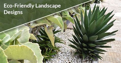 Sustainable Eco Friendly Landscape Designs Peel Exterior Maintenance