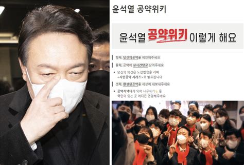 윤석열 정책 만드는 공약위키사퇴하라 싸늘한 반응 네이트 뉴스