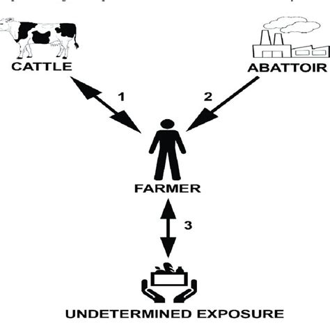 Identification of Mycobacterium bovis isolates. | Download Scientific ...