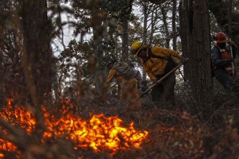 Activos Incendios Forestales En Guerrero