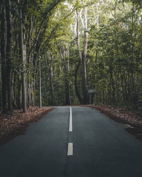 Taman Nasional Paling Angker Di Pulau Jawa