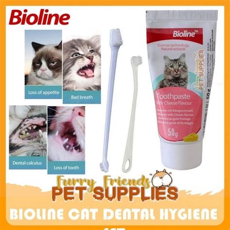 Bioline Cat Dental Hygiene Set Cheese Flavor G Shopee Philippines